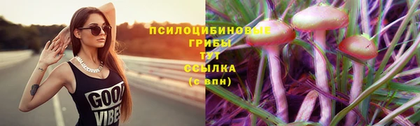 mdpv Армянск
